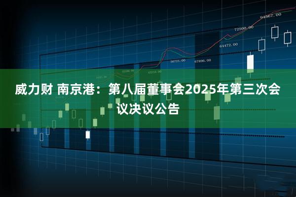 威力财 南京港：第八届董事会2025年第三次会议决议公告