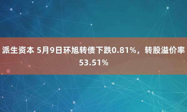 派生资本 5月9日环旭转债下跌0.81%，转股溢价率53.51%
