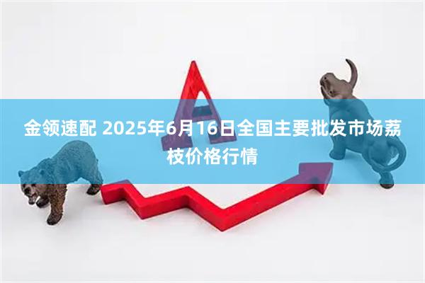 金领速配 2025年6月16日全国主要批发市场荔枝价格行情