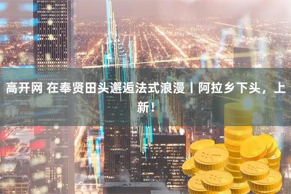 高开网 在奉贤田头邂逅法式浪漫丨阿拉乡下头，上新！