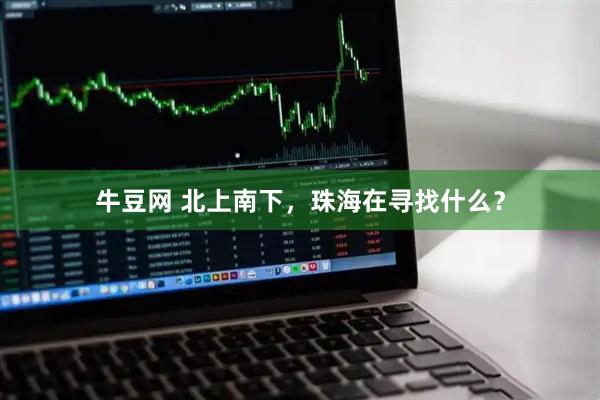 牛豆网 北上南下，珠海在寻找什么？
