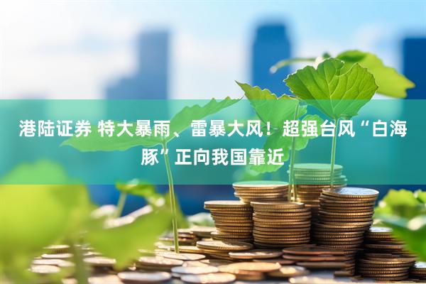 港陆证券 特大暴雨、雷暴大风！超强台风“白海豚”正向我国靠近
